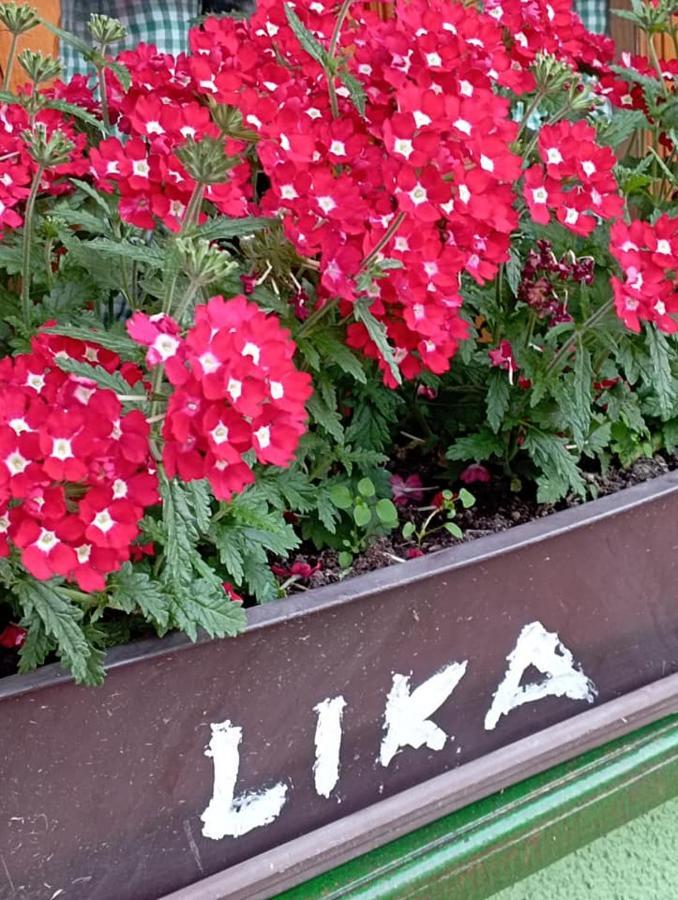 Ivona - Kuca Za Odmor Perusic - Stara Lika Lägenhet Exteriör bild