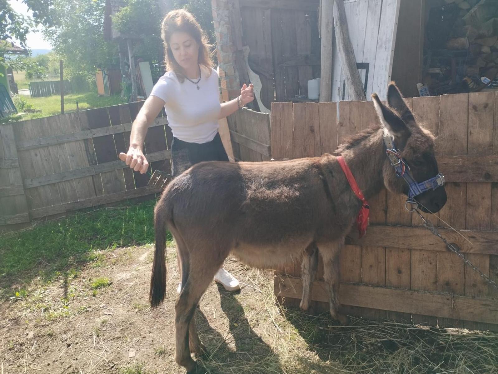 Ivona - Kuca Za Odmor Perusic - Stara Lika Lägenhet Exteriör bild