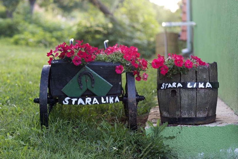 Ivona - Kuca Za Odmor Perusic - Stara Lika Lägenhet Exteriör bild